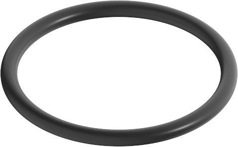 Dornbracht joint torique 09141010190 30.0x2.5