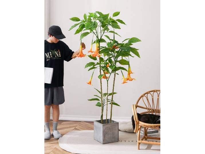 Plante artificielle verte bionique Mandala, décoration de sol, faux arbre fleuri, plante en pot décorative d'intérieur pour la maison et le bureau