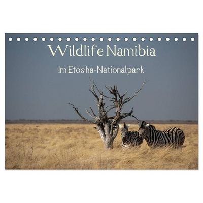Wildlife Namibia (Tischkalender 2026 DIN A5 quer), CALVENDO Monatskalender