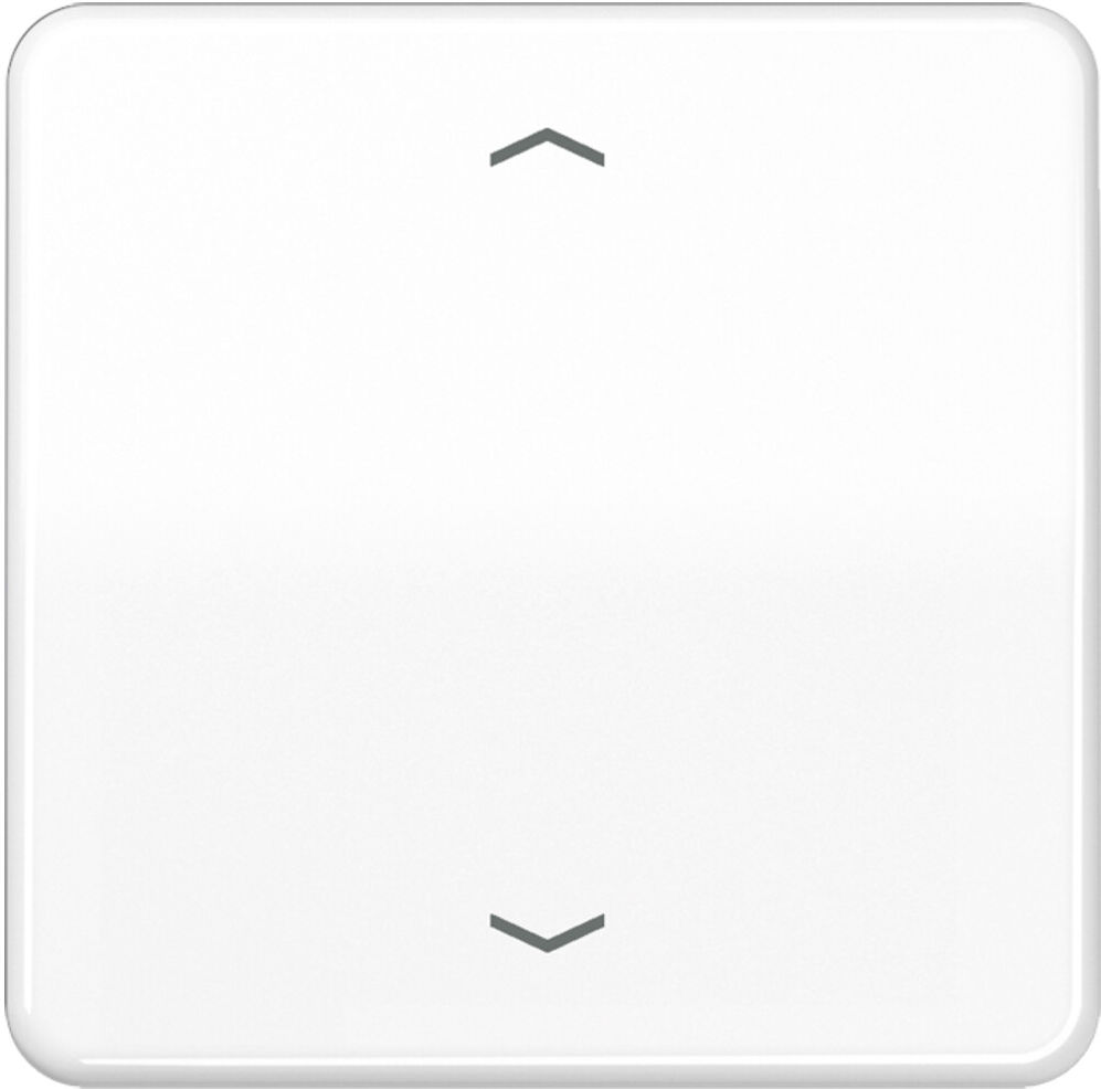 Jung Steuertaste Standard Symbole Pfeile CD 1700 P WW (CD1700PWW)