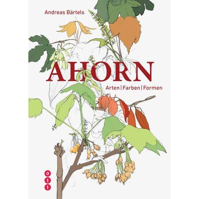 Ahorn, Taschenbuch von Andreas Bärtels, Weber Verlag AG - Ott Verlag, 978-3-7225-0173-4