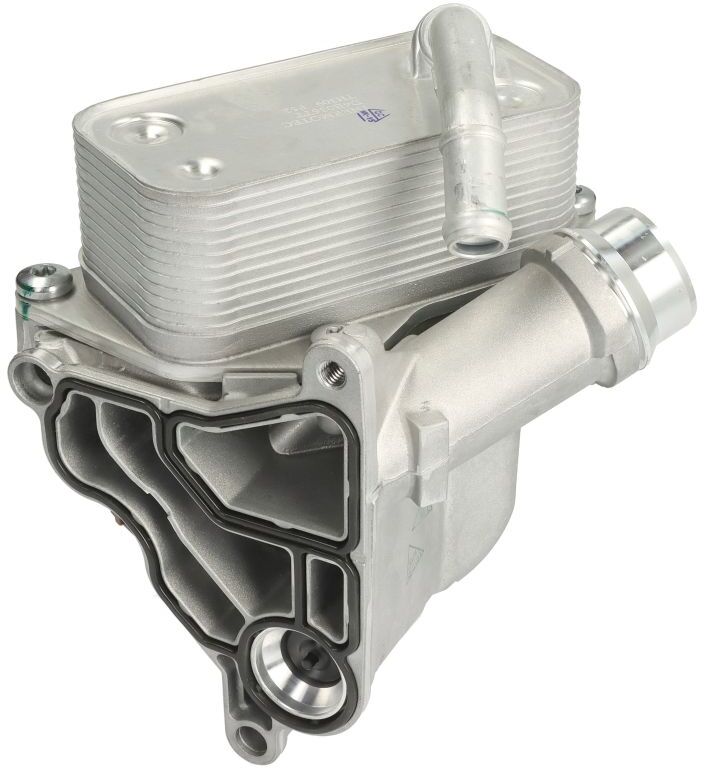 Thermotec Radiatore olio, olio motore D4B036TT