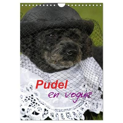 Pudel en vogue (Wandkalender 2027 DIN A4 hoch), CALVENDO Monatskalender
