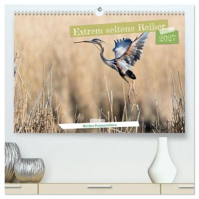 Extrem seltene Reiher (hochwertiger Premium Wandkalender 2027 DIN A2 quer), Kunstdruck in Hochglanz