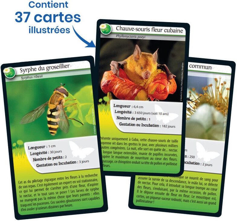 Bioviva Editions Défis Nature Abeilles et autres pollinisateurs
