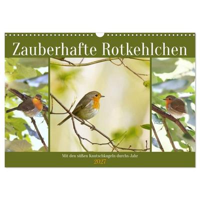 Zauberhafte Rotkehlchen (Wandkalender 2027 DIN A3 quer), CALVENDO Monatskalender