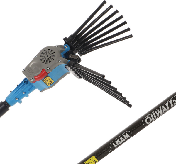 Peigne vibreur électrique à batterie Lisam Oliwatt 2  - Avec dents en Nylon - 280 cm - Perche Fixe