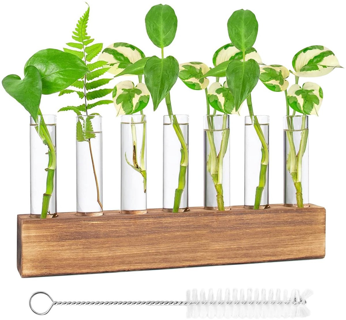 Dailygoods Glazen Vaas Groot - Reageerbuisvaas met Houten Standaard en 8 Borosilicaatglas Reageerbuisjes voor Hydrocultuur