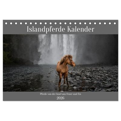 Islandpferde Kalender - Pferde von der Insel aus Feuer und Eis (Tischkalender 2026 DIN A5 quer), CALVENDO Monatskalender