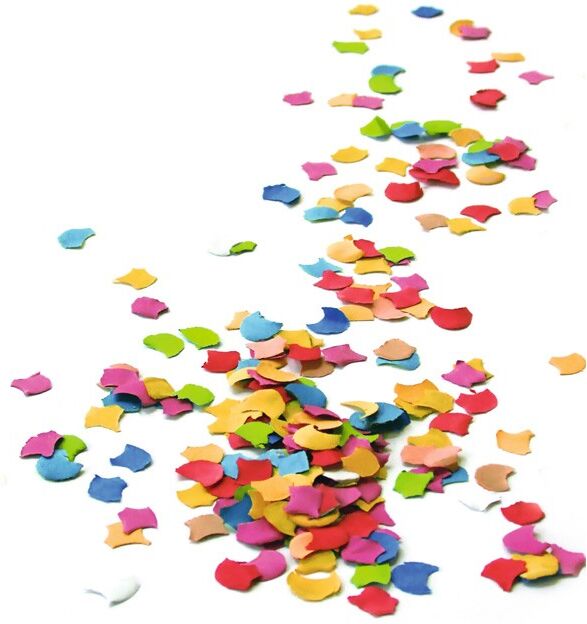 450g de confettis multicolores - Rubies