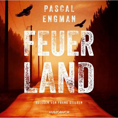 Feuerland (ungekürzt) - Pascal Engman, Audio, 9783958626041