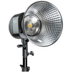 Walimex pro Newcomer 300 Studioblitz II (Blitzkopf, 300 Ws), Studioblitz, Grau