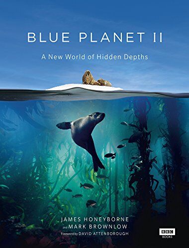James Honeyborne - Blue Planet II - Preis vom 11.10.2026 03:10:56 h