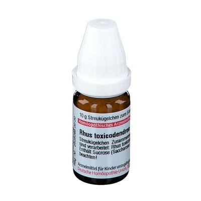 Rhus Toxicodendron C 9 Globuli 10 g