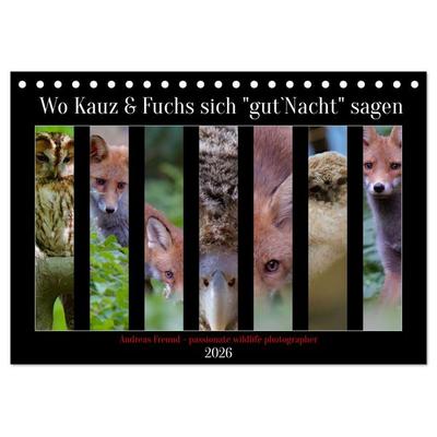 Wo Kauz & Fuchs sich 'gut`Nacht' sagen (Tischkalender 2026 DIN A5 quer), CALVENDO Monatskalender
