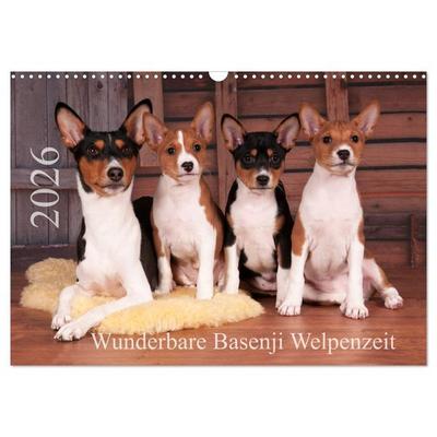 Wunderbare Basenji Welpenzeit (Wandkalender 2026 DIN A3 quer), CALVENDO Monatskalender