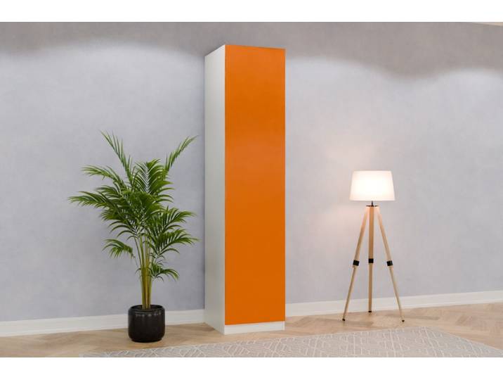 Schrank nach Maß - RAL 2011 Tieforange - 243x55x59cm - Individuell konfigurieren