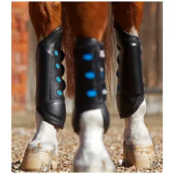Premier Equine, Pferdebeinschutz, (XS)
