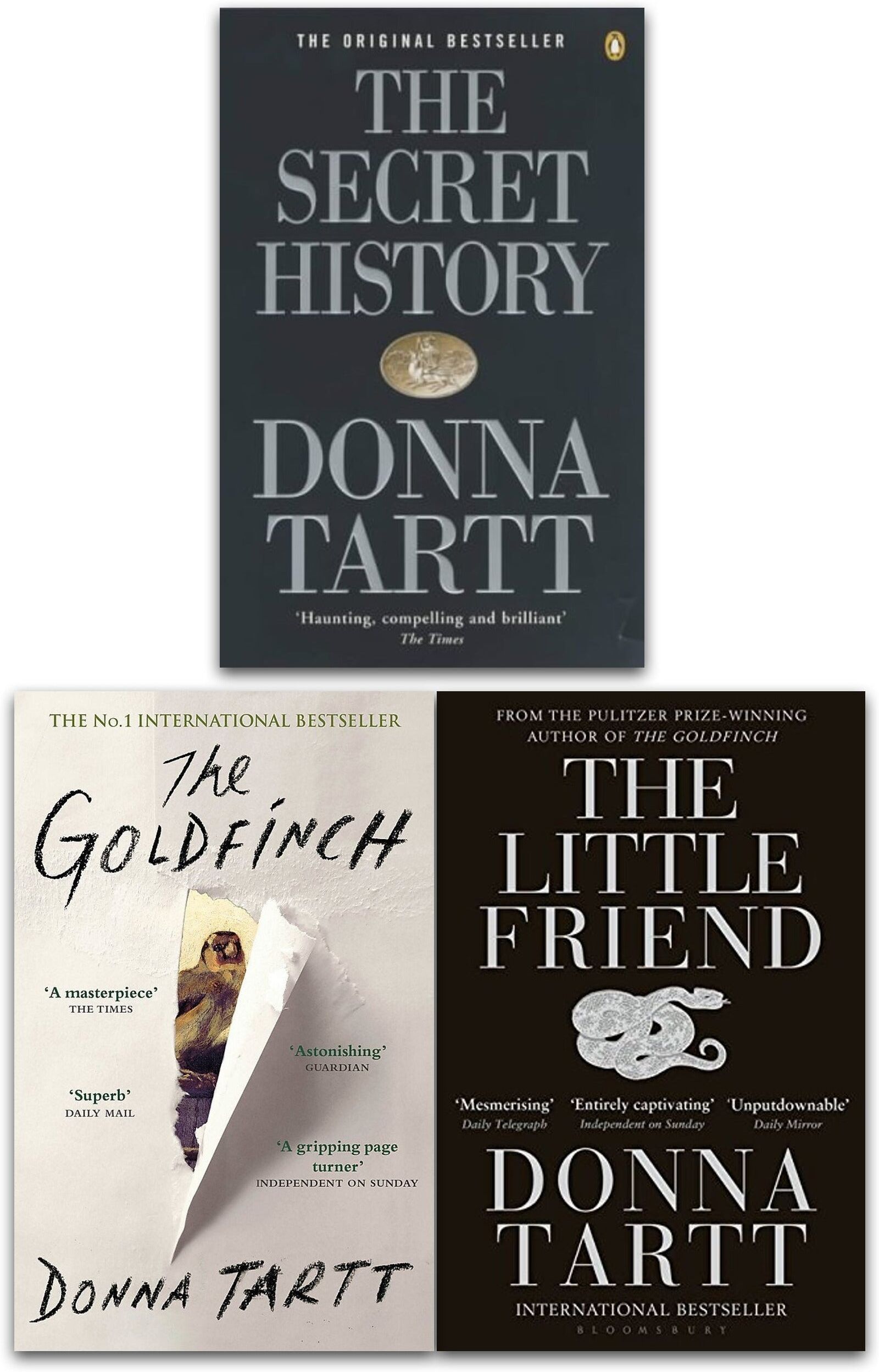 Bloomsbury Publishing Donna Tartt Collection 3 Books Set (The Goldfinch, The Secret History, The Little Friend)
