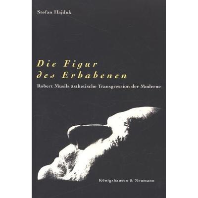 Die Figur des Erhabenen, Taschenbuch von Stefan Hajduk, Königshausen u. Neumann, 978-3-8260-1888-6