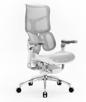 SIHOO Doro S300-White Ergonomic Office Chair- Lumbar Two-piece Dynamic Support