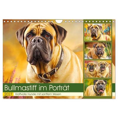 Bullmastiff im Porträt. Kraftvolle Hunde mit sanftem Wesen (Wandkalender 2027 DIN A4 quer), CALVENDO Monatskalender