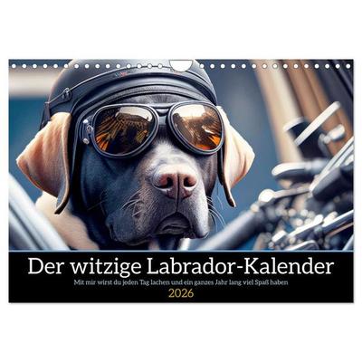 Der witzige Labrador-Kalender (Wandkalender 2026 DIN A4 quer), CALVENDO Monatskalender