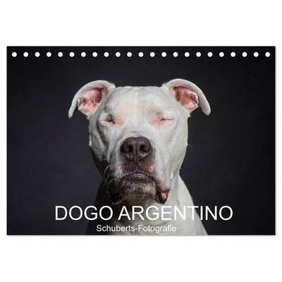 DOGO ARGENTINO (Tischkalender 2027 DIN A5 quer), CALVENDO Monatskalender