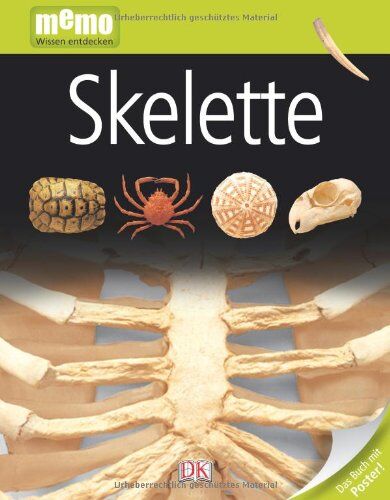 Various - memo Wissen entdecken, Band 82: Skelette, mit Riesenposter! - Preis vom 10.10.2026 11:48:34 h