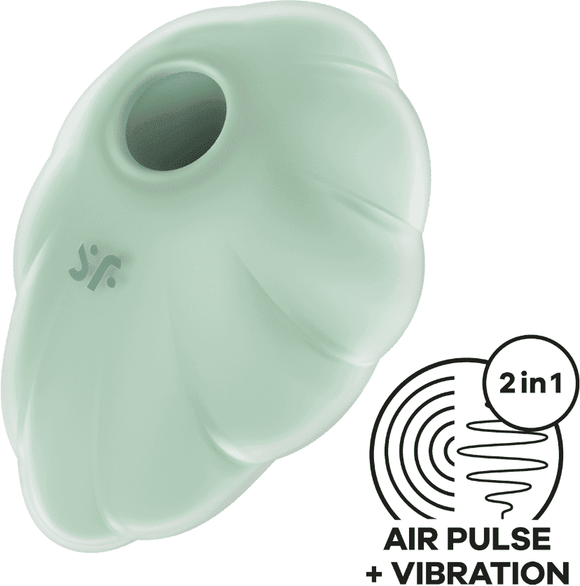 Satisfyer Stimulateur clitoridien par onde de pression sans contact et par vibration USB vert menthe, Cloud Dancer