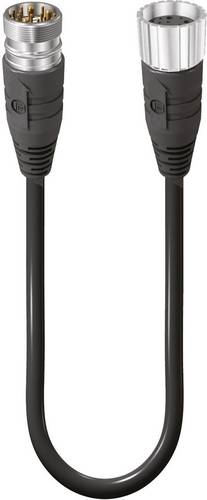 Lumberg Automation 14699 Sensor-/Aktor-Anschlussleitung M23 Stecker, gerade, Kupplung, gerade 1.00m Polzahl Sensoren: 12 1St.