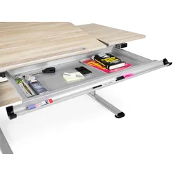 Schubkastenauszug PAIDI (BHT 85,70x4,80x35,10 cm) - BHT 85,70x4,80x35,10 cm