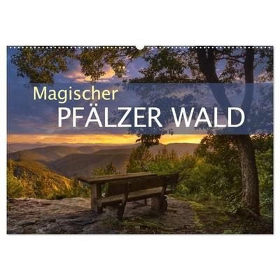 Magischer Pfälzer Wald (Wandkalender 2027 DIN A2 quer), CALVENDO Monatskalender