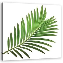 WANDBILD blumen grün