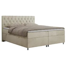 BOXBETT ROMA 180/200 - Beige Velvet - H3