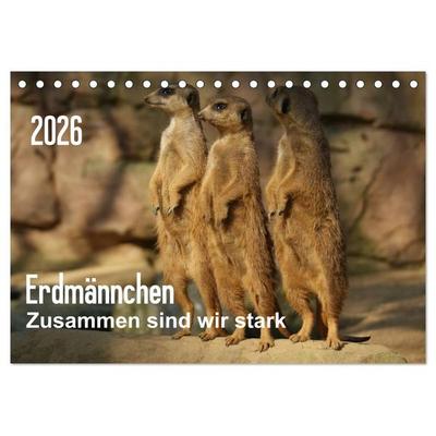 Erdmännchen – Zusammen sind wir stark (Tischkalender 2026 DIN A5 quer), CALVENDO Monatskalender