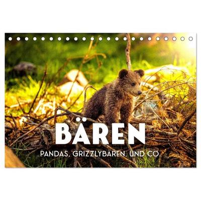 Bären - Pandas, Grizzlybären und Co. (Tischkalender 2027 DIN A5 quer), CALVENDO Monatskalender