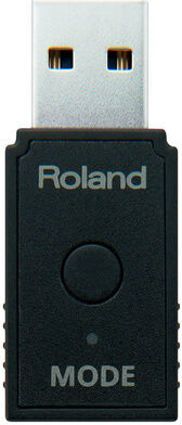 Roland WM-1D