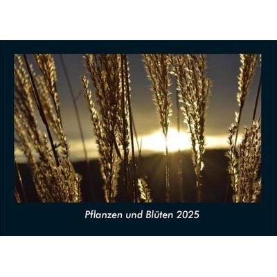 Pflanzen und Blüten 2025 Fotokalender DIN A4