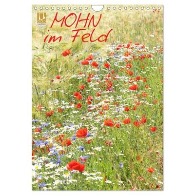 Mohn im Feld (Wandkalender 2026 DIN A4 hoch), CALVENDO Monatskalender