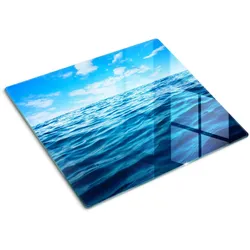 GLASPLATTE 60x52 cm Meerwasser
