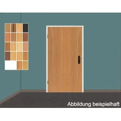 Schörghuber T30-1 Holz Brandschutztür/ Feuerschutztür 3.00 mit Stahlzarge