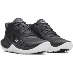 UNDER ARMOUR Jet '25 Basketballschuhe 016 - anthracite/black/white 44.5