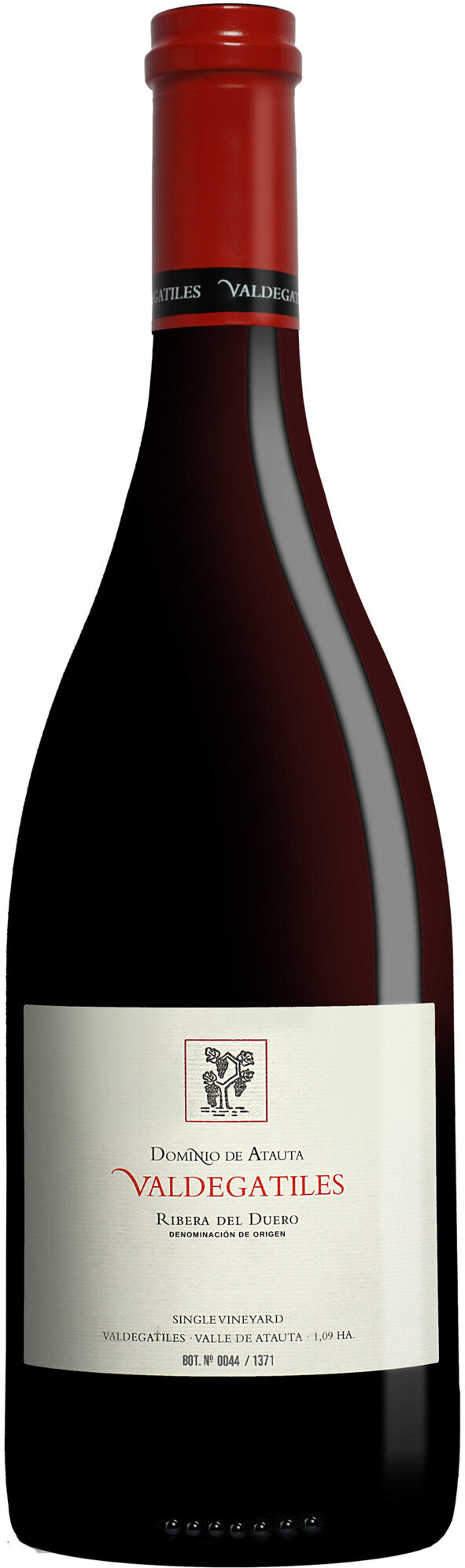 Dominio de Atauta »Valdegatiles« 2018 15% Vol. Rotwein Trocken aus Spanien