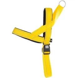 Arka Norvege Neo (XL, Hund, Allgemein, Hundesport, Spazieren), Halsband + Leine
