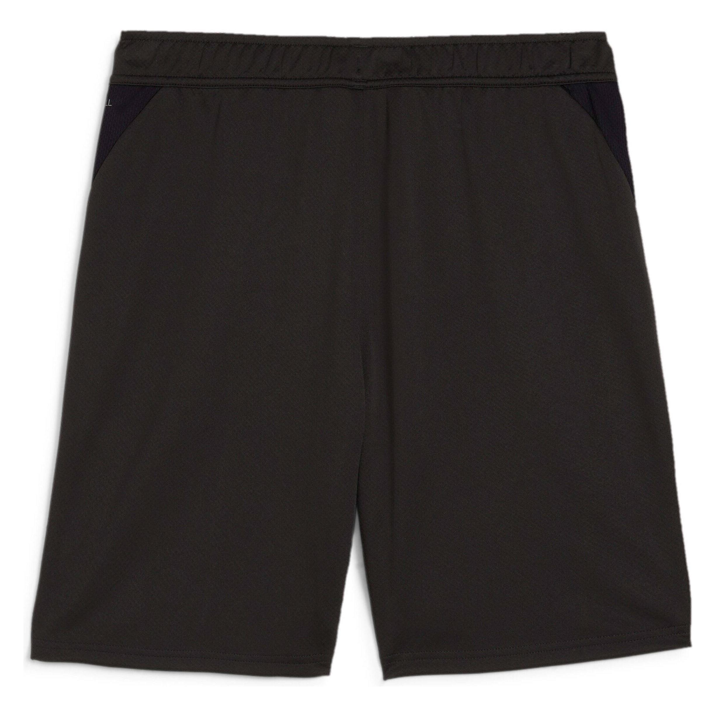 Puma teamGOAL Training Short (S) (658643_03)