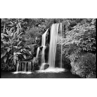 Fototapete PAPERMOON "Schwarzweiss-Wasserfall", bunt, B:2,5m L:1,9m, Vlies, Tapeten