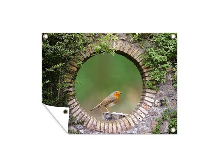 Tuinposter - 80x60 cm - Vogel - Doorkijk - Roodborstje