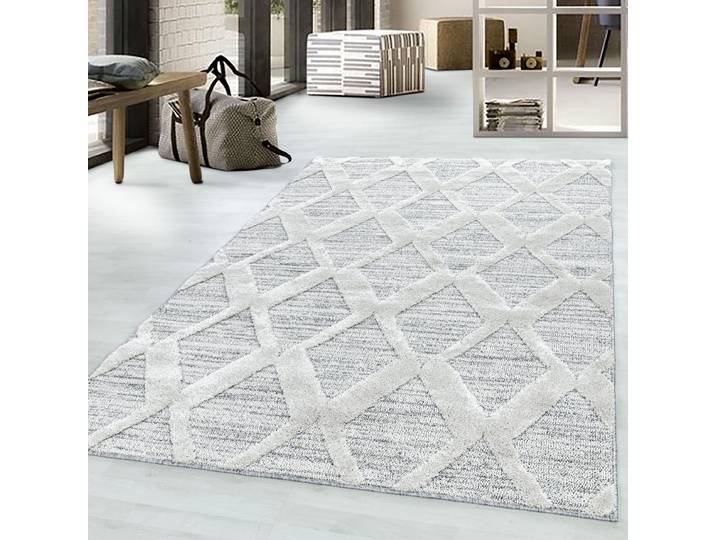 Hochflorteppich Pisa Typ F 240 x 340cm Grau