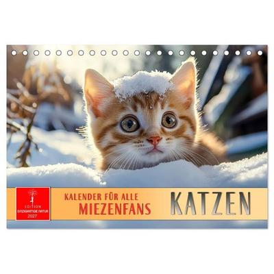 Katzen - Kalender für alle Miezenfans (Tischkalender 2027 DIN A5 quer), CALVENDO Monatskalender